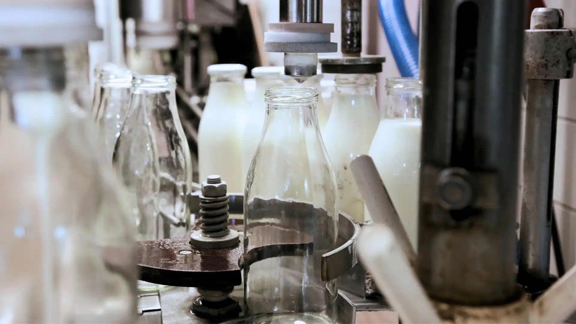Automated milk filling and bottling system at a dairy production facility