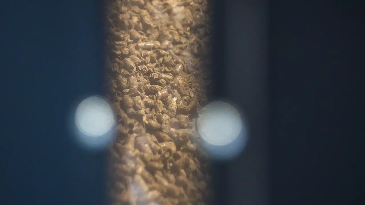 Dedykowany pellet drzewny w podajniku automatycznym przemysłowego kotła na biomasę